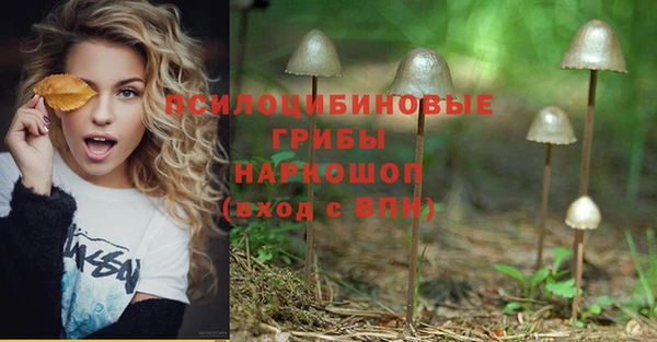 прущая мука Сосновый Бор