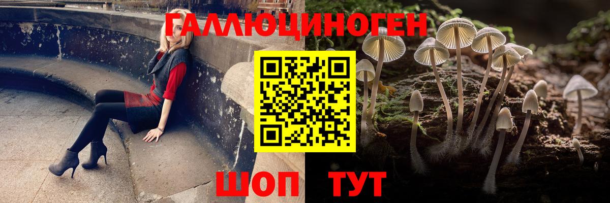 Псилоцибиновые грибы прущие грибы  что такое   Благовещенск  Вход с VPN 