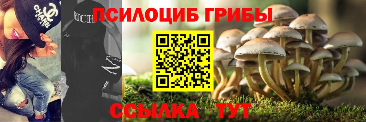 Псилоцибиновые грибы GOLDEN TEACHER Благовещенск